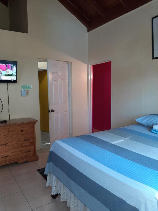 Dancehall Hostel Kingston Zewnętrze zdjęcie